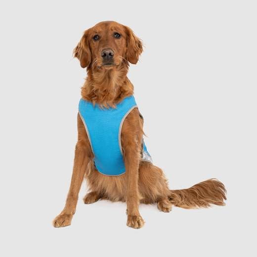 Canada Pooch Chill Seeker Cooling Vest Aqua