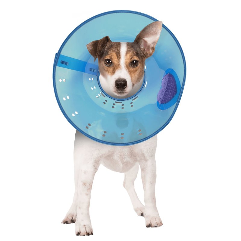 Calm Paws Calming E-Collar Blue