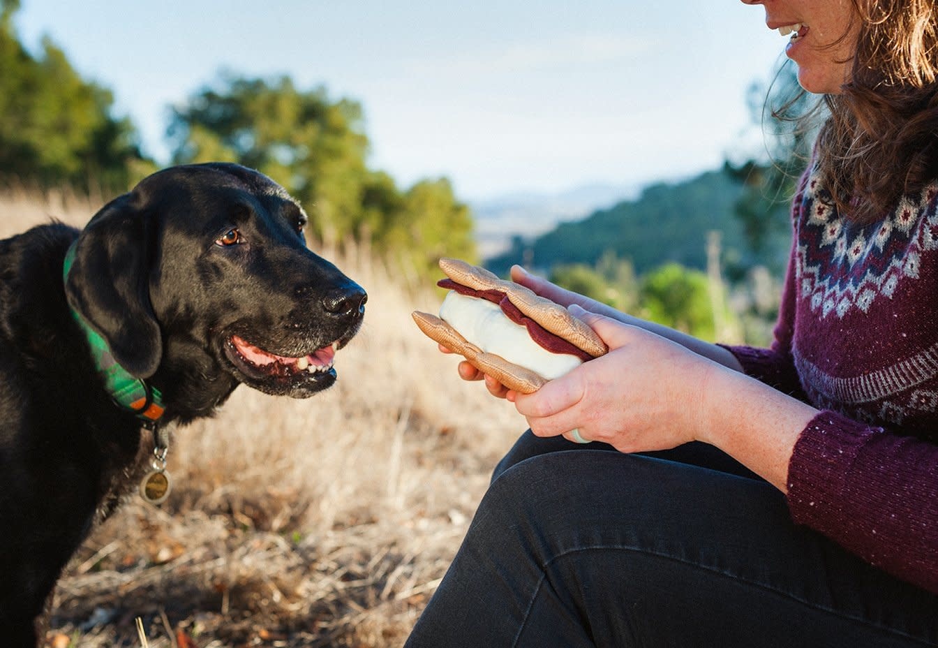 PLAY Plush Camp Corbin Collection - Gimme S'more