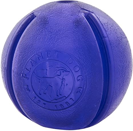 Planet Dog Orbee-Tuff Guru - Purple