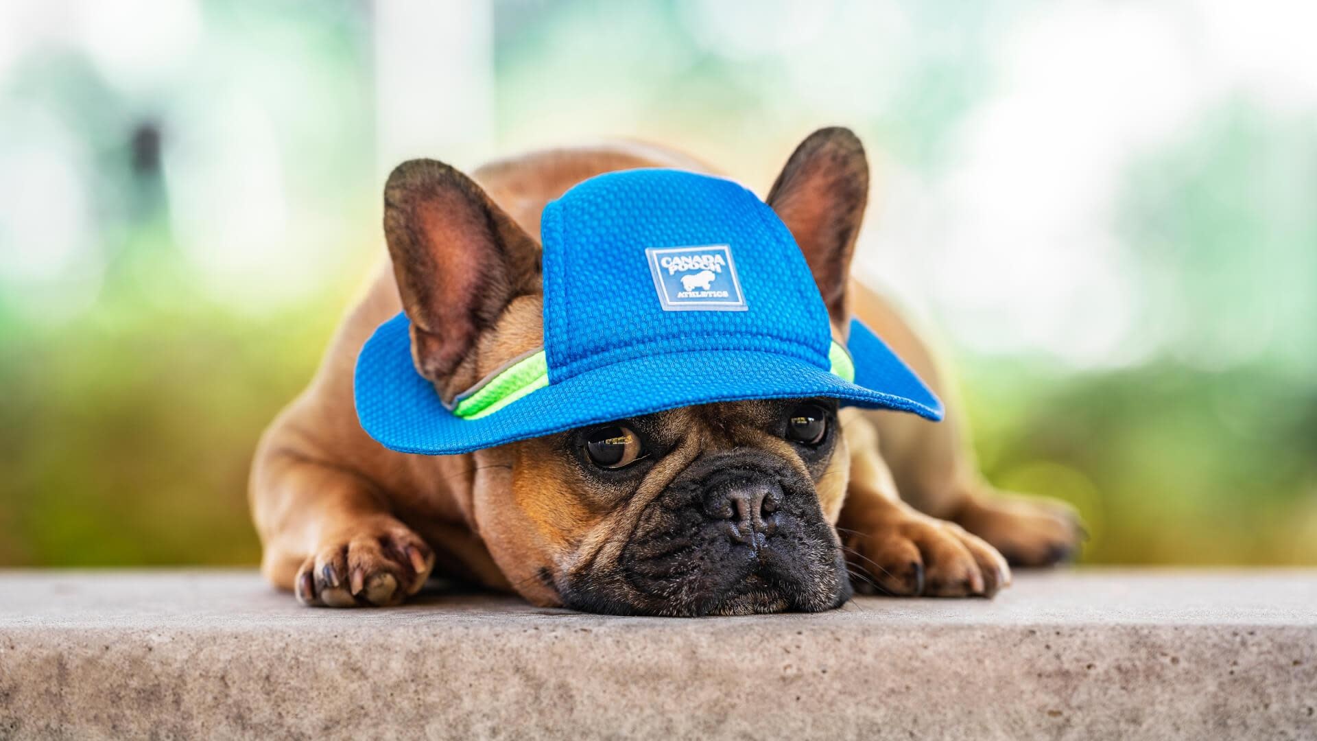 Canada Pooch Cooling Bucket Hat Blue