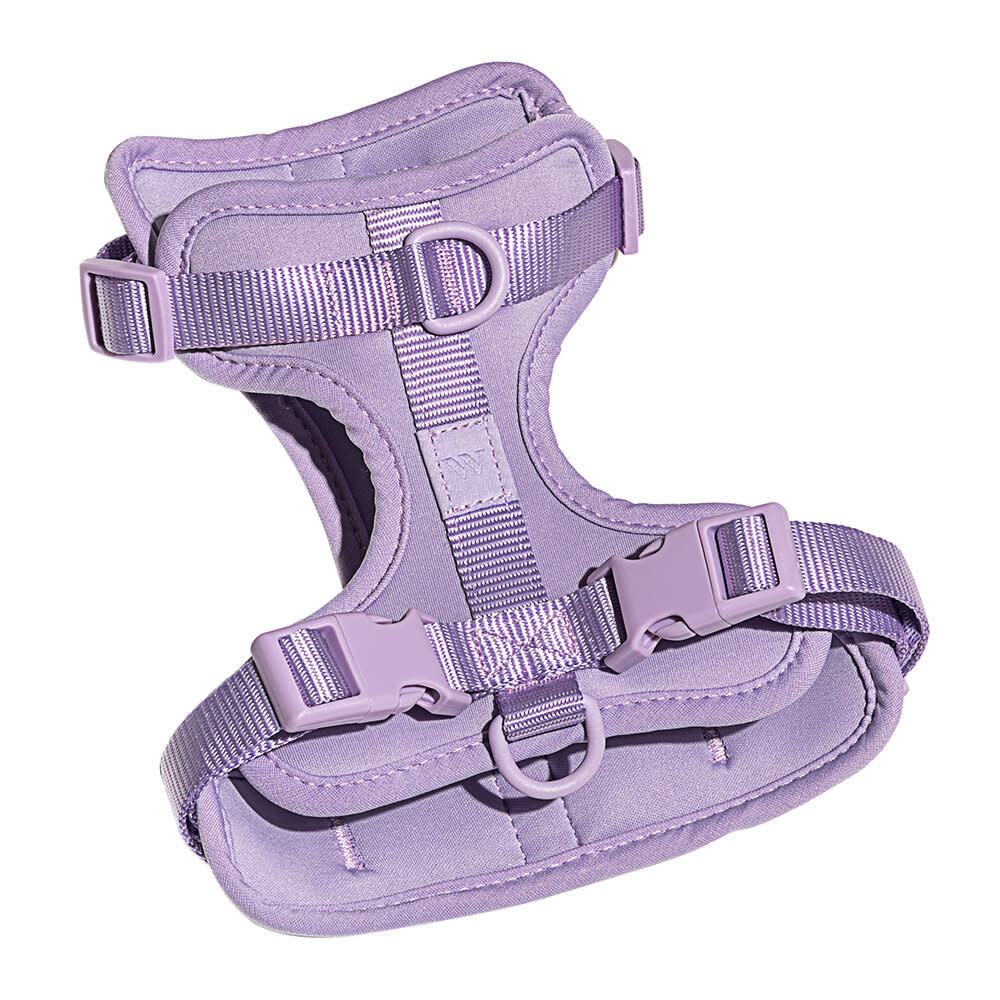 Wild One Harness - Lilac