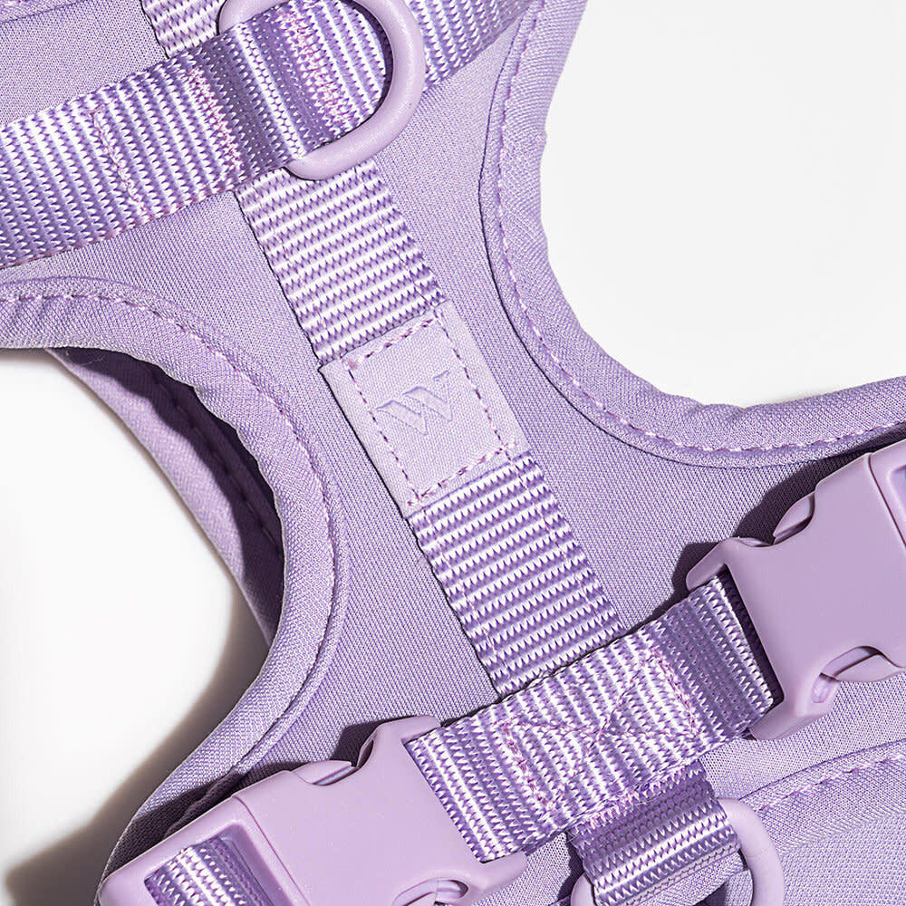 Wild One Harness - Lilac