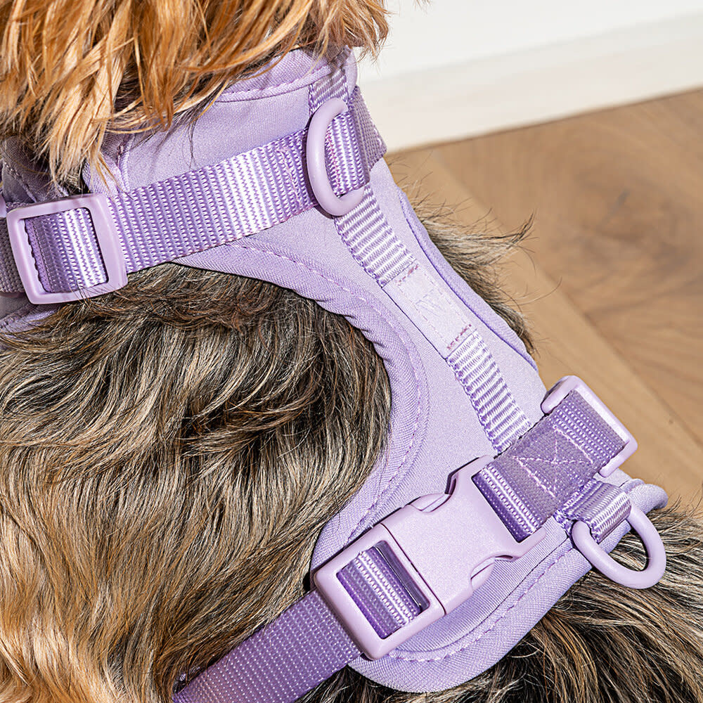 Wild One Harness - Lilac