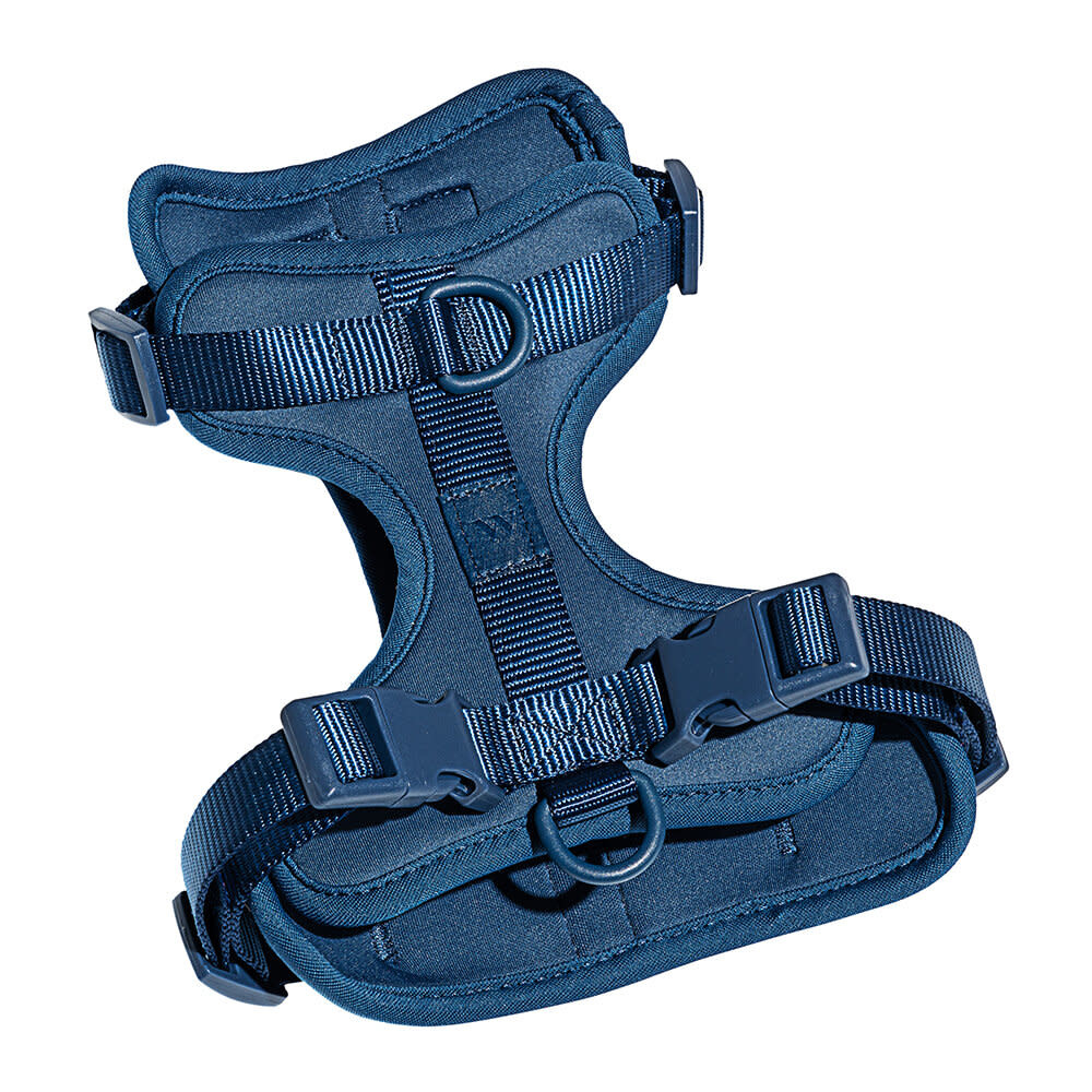 Wild One Harness - Navy
