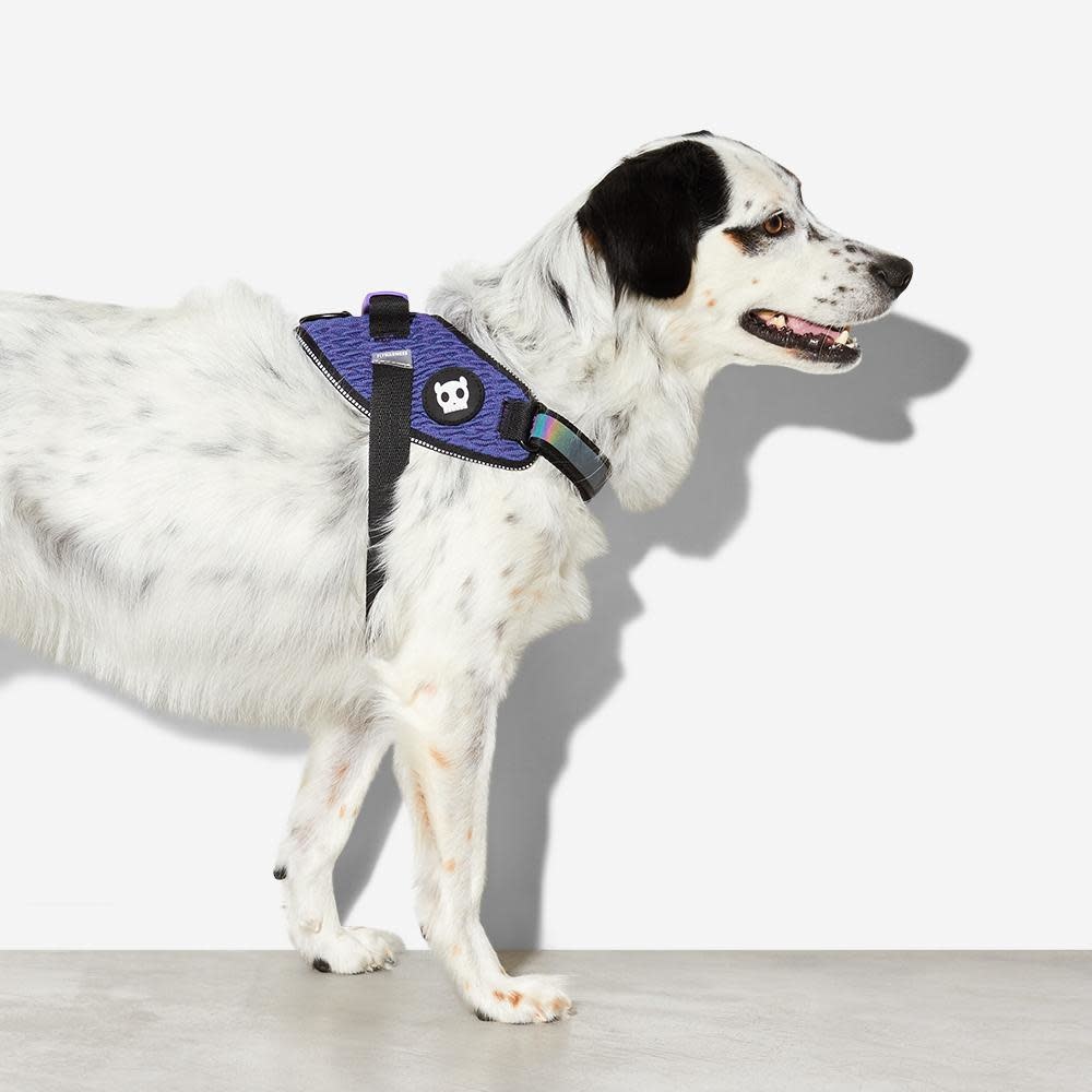 Zee Dog Fly Harness Wicked
