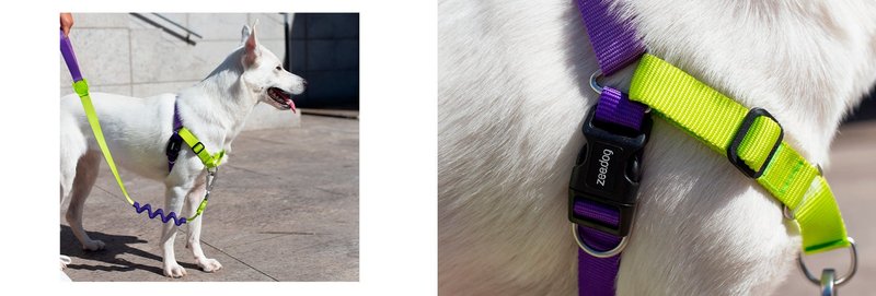 Zee Dog Limonde Soft-Walk Harness