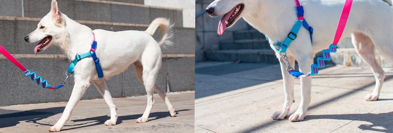 Zee Dog Cooly Soft-Walk Harness