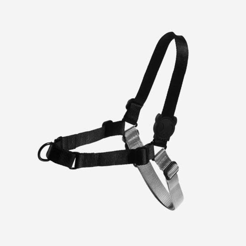 Zee Dog Gotham Soft-Walk Harness