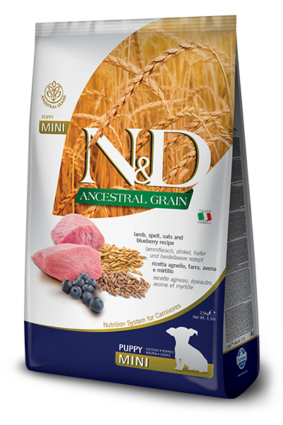 Farmina N&D Ancestral Low Grain Puppy Lamb & Blueberry Mini