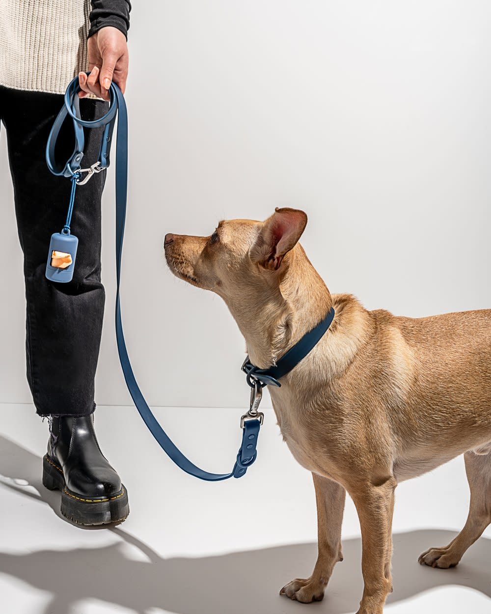 Wild One Collar- Blue