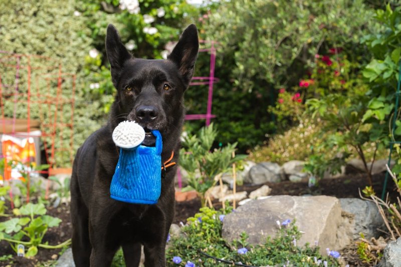 PLAY Plush Blooming Buddies Collection - Wagging Watering Can