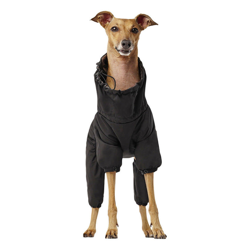 Canada Pooch Snowsuit - Black