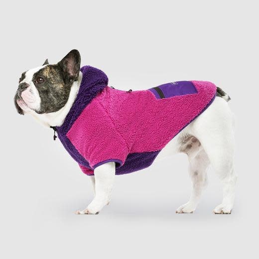 Canada Pooch Cool Factor Hoodie Pink/Purple