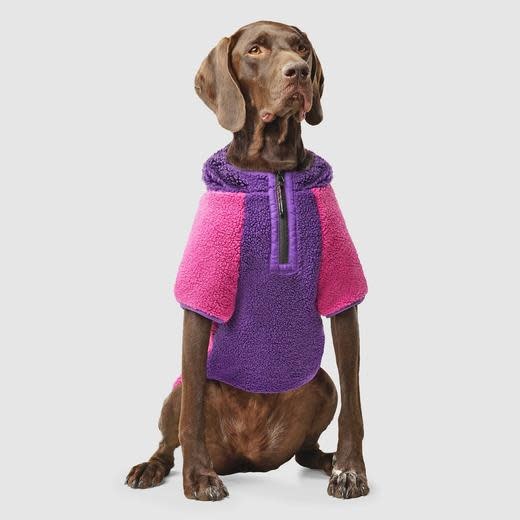 Canada Pooch Cool Factor Hoodie Pink/Purple
