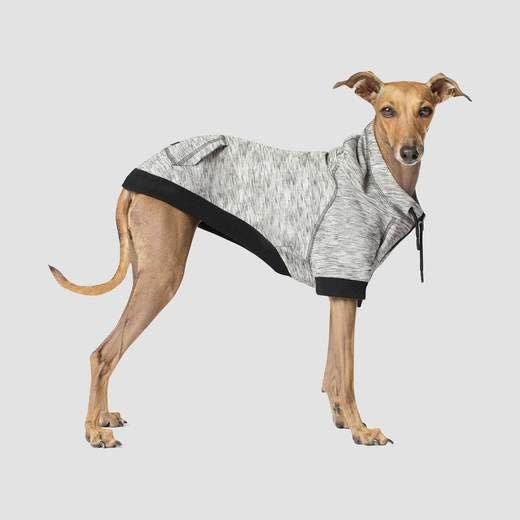 Canada Pooch Hero Hoodie Grey Mix