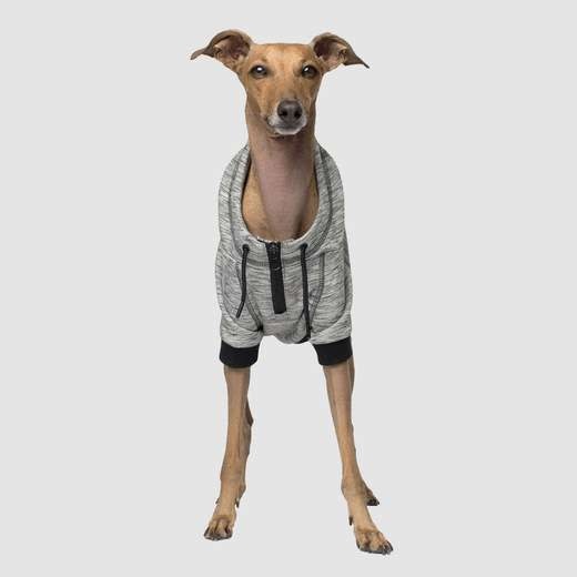 Canada Pooch Hero Hoodie Grey Mix