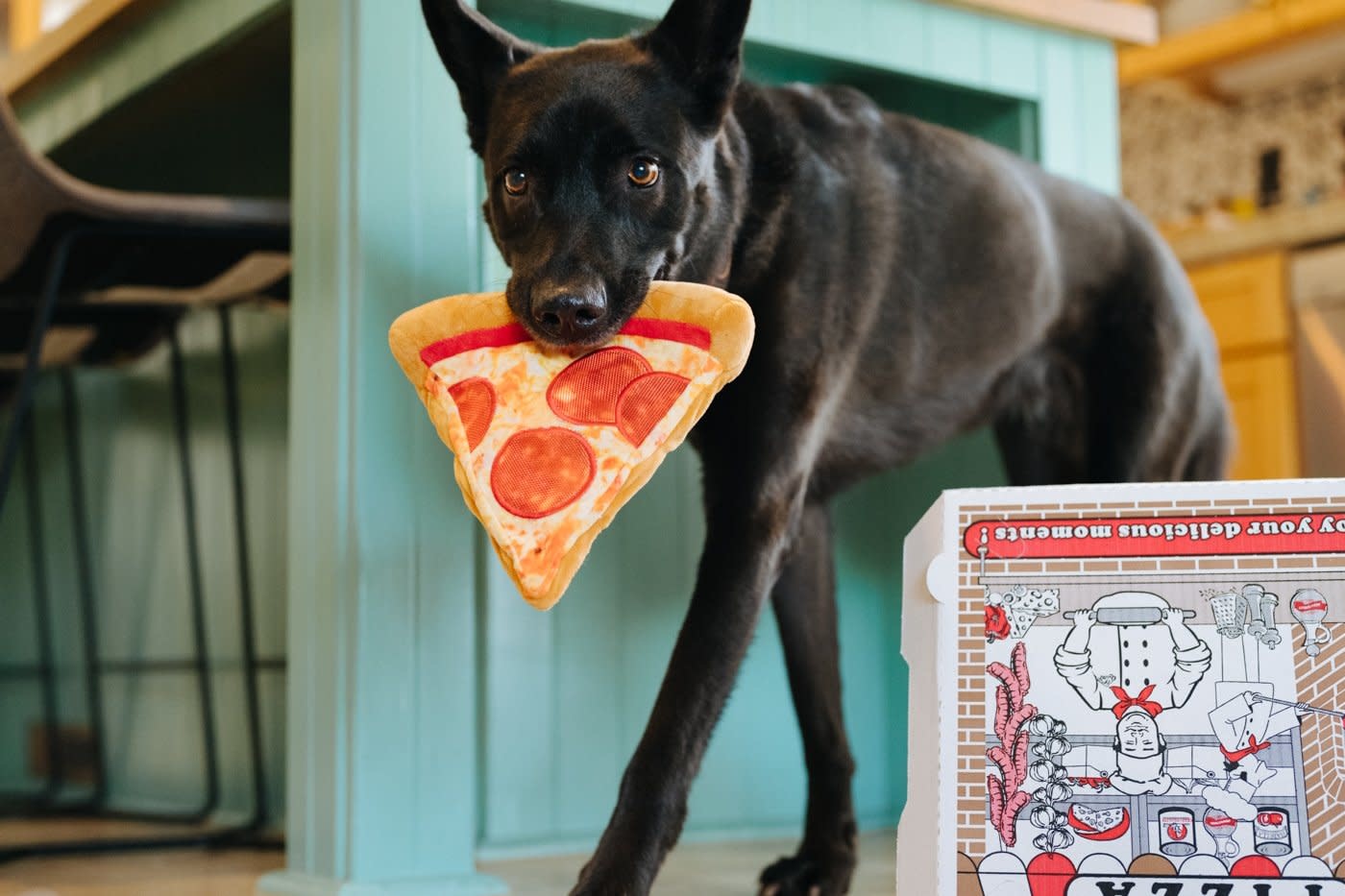PLAY Plush Snack Attack Collection - Puppy-roni Pizza