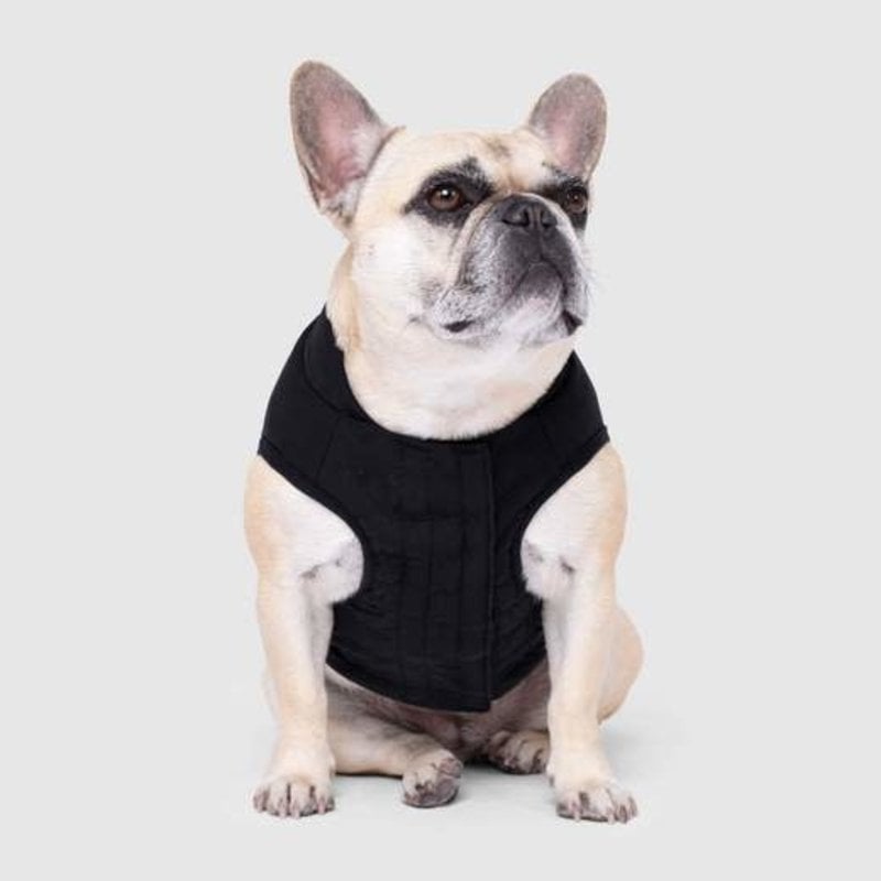 Canada Pooch Ultimate Stretch Vest - Black