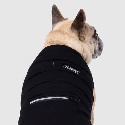 Canada Pooch Ultimate Stretch Vest - Black