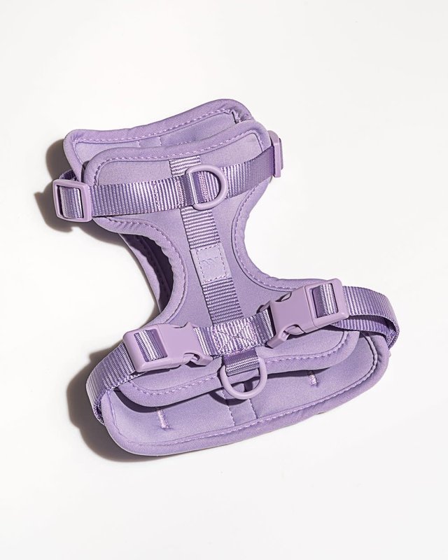 Wild One Harness - Lilac