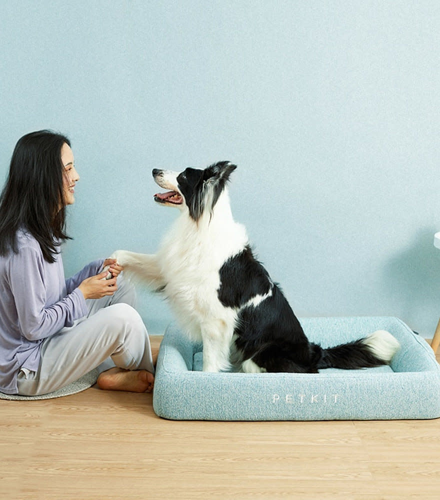 Petkit Deep Sleep All-Season Pet Bed
