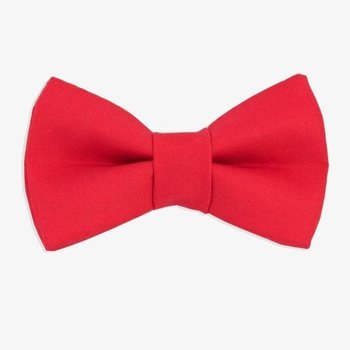 The Rover Boutique Bow Tie Stratford