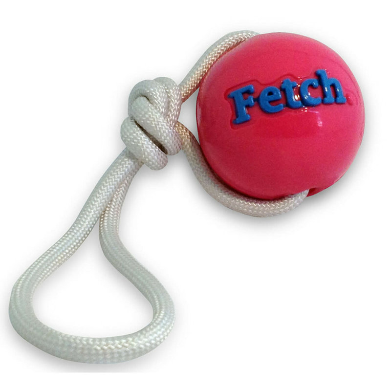 Planet Dog Fetch Ball with Rope Pink