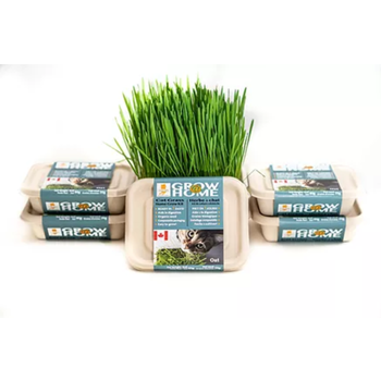 Fog Farms Urban Growers Fog Farms Urban Growers - Wheat Grass For Cats Kit