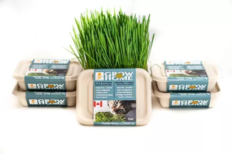 Fog Farms Urban Growers Fog Farms Urban Growers - Wheat Grass For Cats Kit