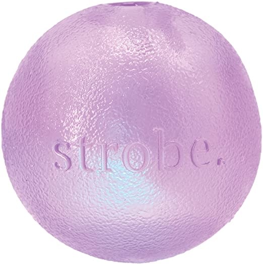Planet Dog Planet Dog Orbee-Tuff Strobe Ball Purple