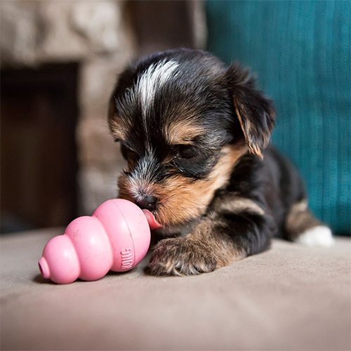 Kong Kong Puppy Dog Toy - X Small