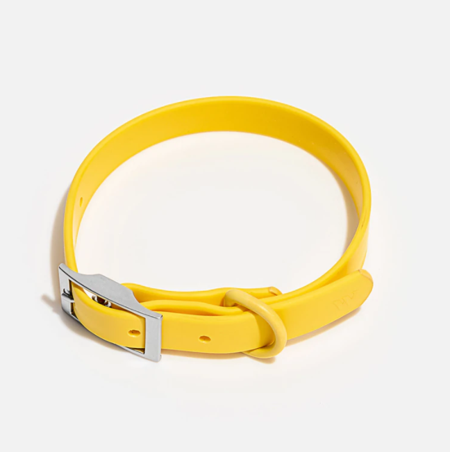 Wild One Collar- Butter
