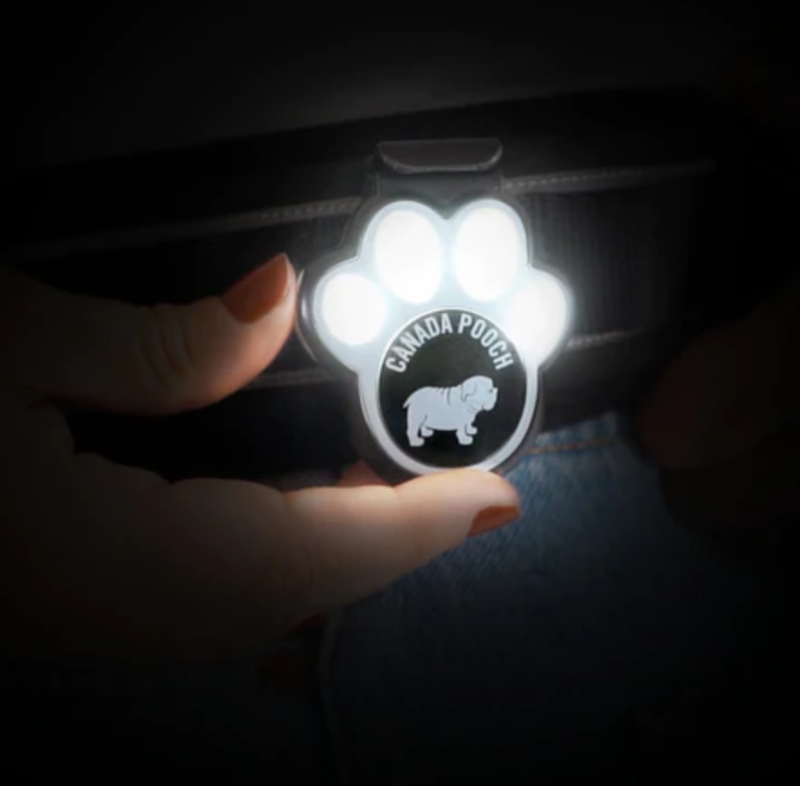 Canada Pooch Dog Walking Hands-Free Safety Light With Charger