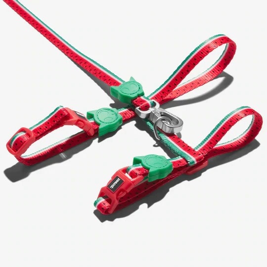 Zee Dog Cat harness & leash Lola