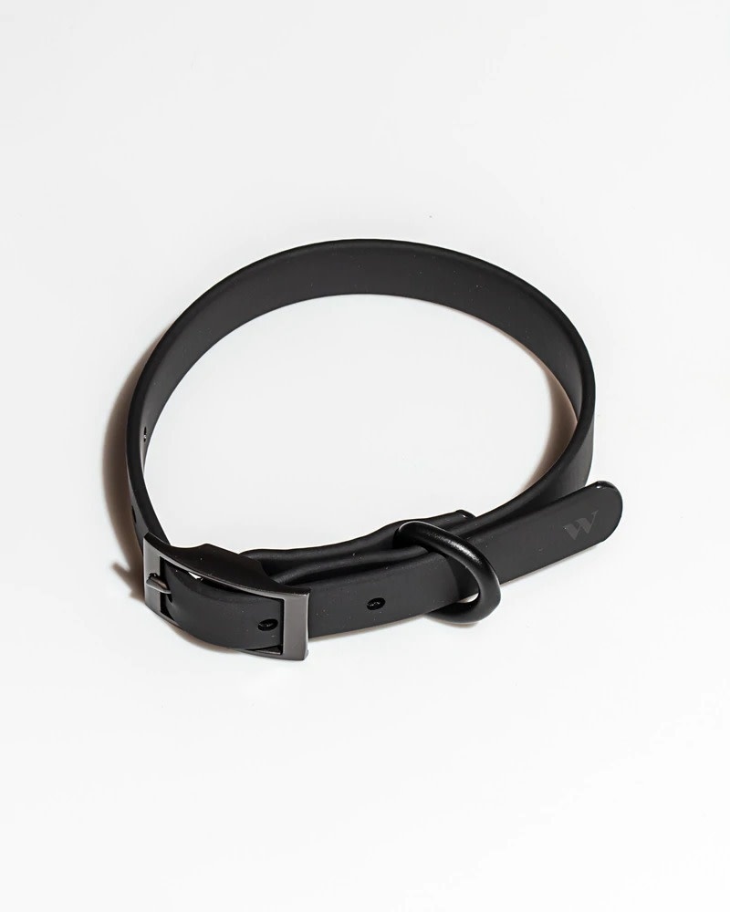 Wild One Collar- Black Small