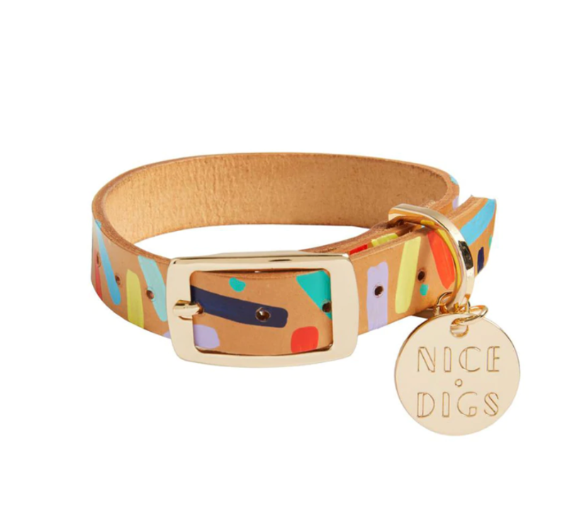 Nice Digs Confetti Leather Dog Collar