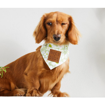 Nice Digs Daisy Dog Bandana Pistachio
