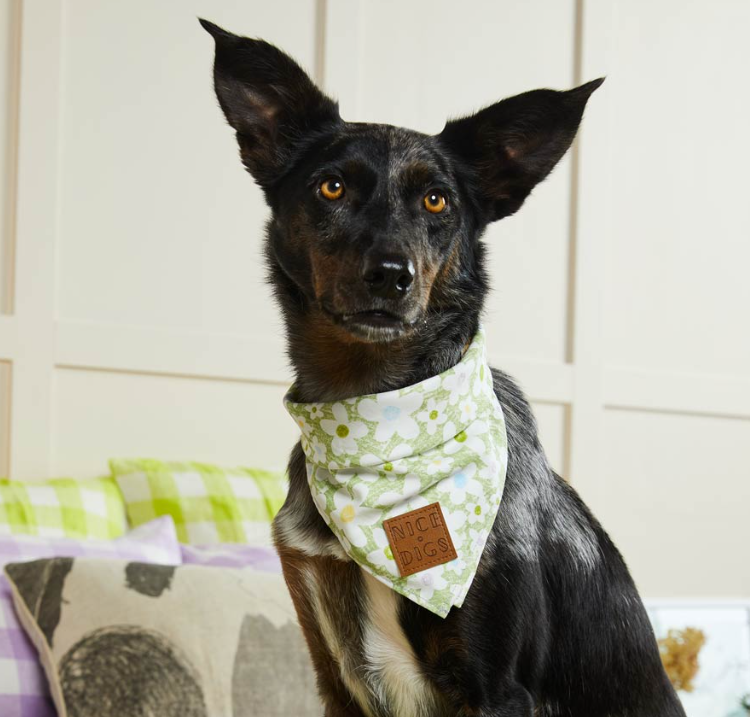 Nice Digs Daisy Dog Bandana Pistachio