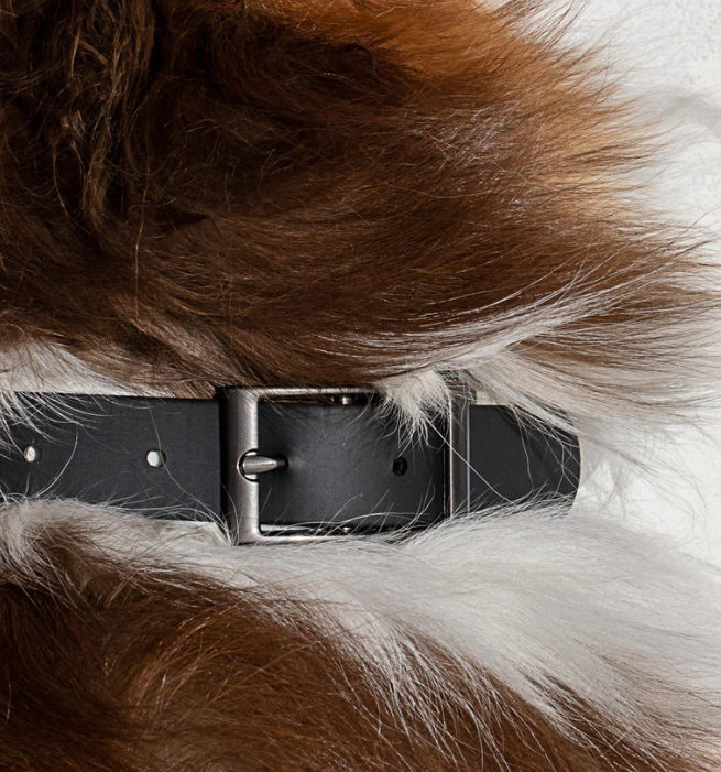 Wild One Wild One Collar - Black