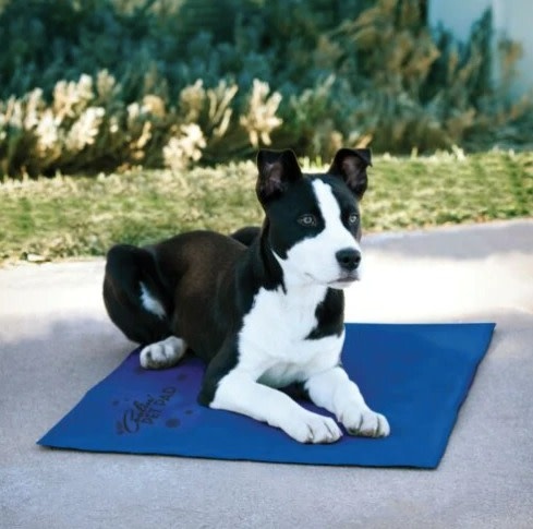K&H K&H Coolin' Pet Pad - Large 20" x 36"