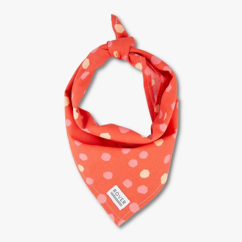 The Rover Boutique Berry Dog Bandana