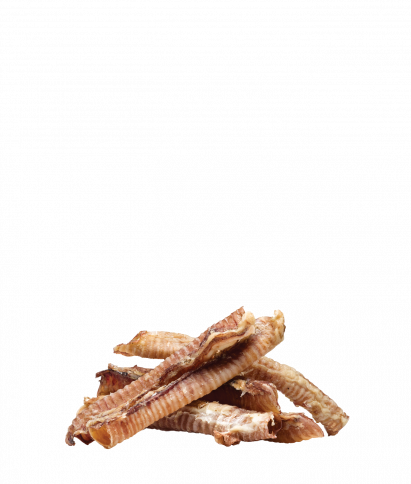 Ziwi Lamb Trachea Dog Chews