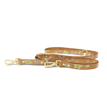 Nice Digs Copy of Cord Adjustable dog Leash - Desert Bloom