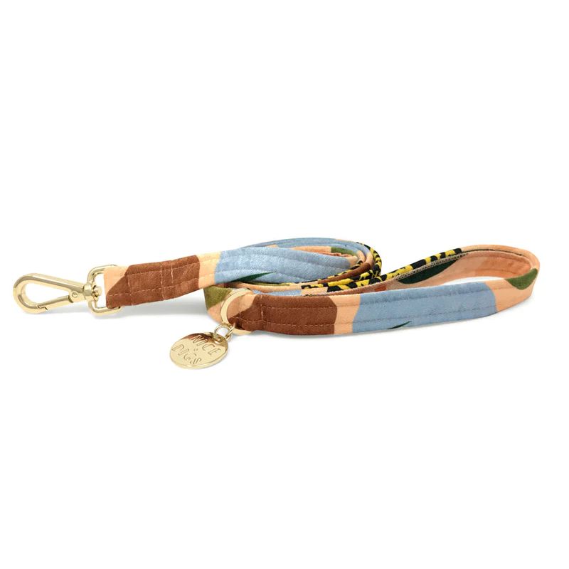 Nice Digs Boulder Canyon Dog Leash - Peach