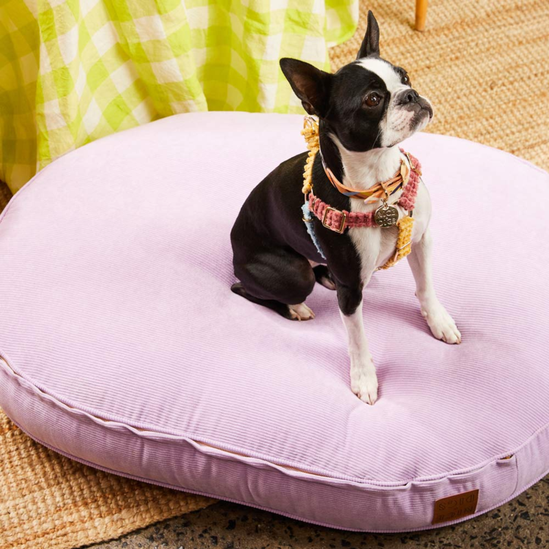 Nice Digs Cord Oval Dog Bed - Lilac