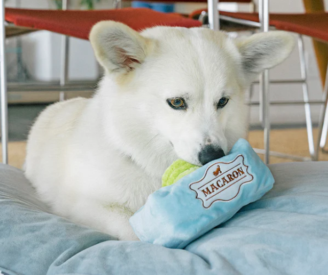 PLAY Plush Pup Cup Café Collection - Mutt -A - Rons