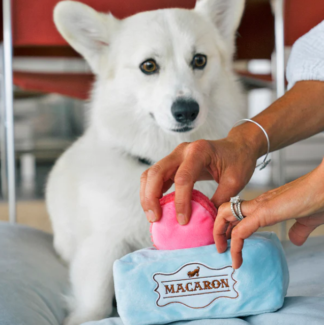 PLAY Plush Pup Cup Café Collection - Mutt -A - Rons