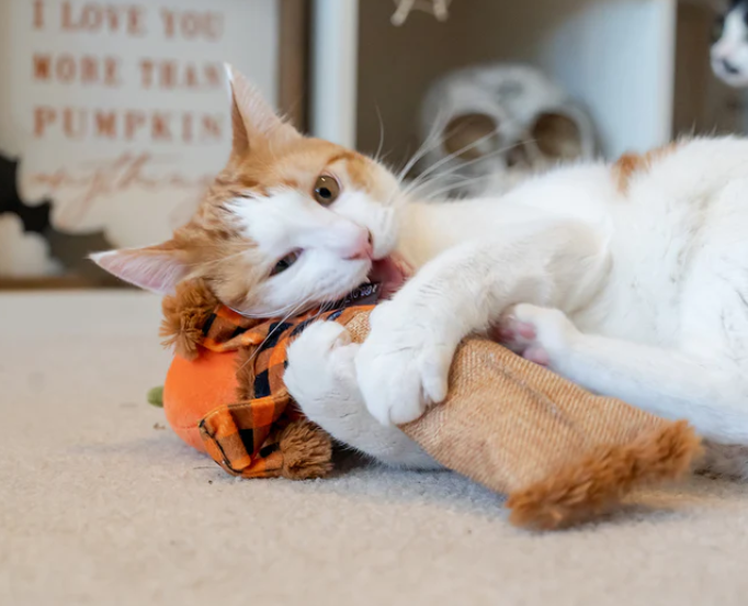 PLAY Feline Frenzy Plush Catnip Kickers - Scarecrow