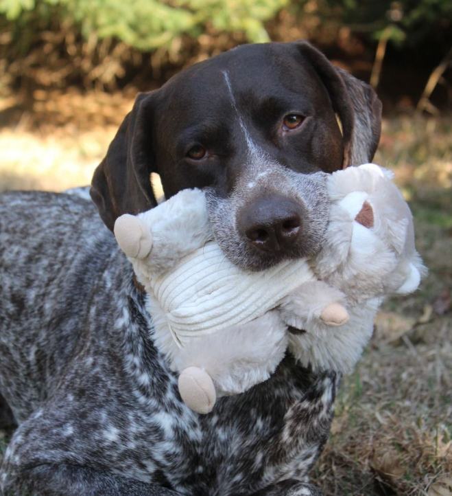 Tall Tails Plush Squirrel Animated Twitchy Tail - 9"